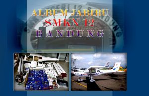 sfj1